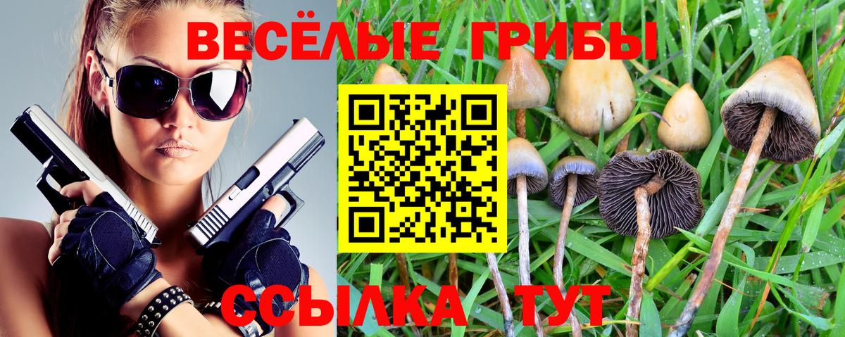 Бошки Шишки Стрежевой